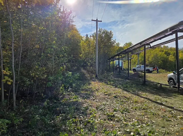 Cleared fence line after brush removal