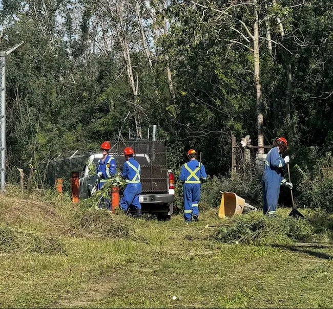 Brush cutting crew clearing vegetation at industrial site