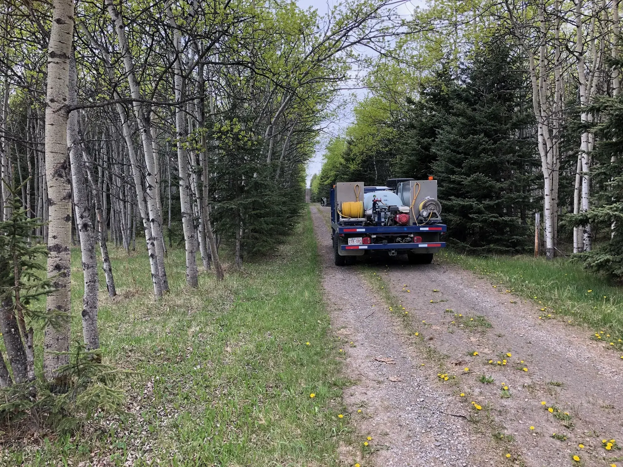 Industrial facility grounds