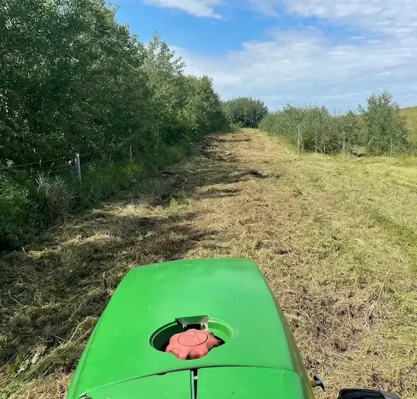 Mower performing brush cutting vegetation control