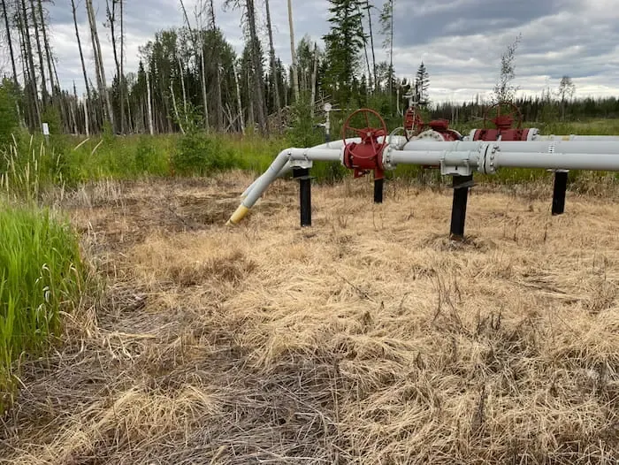 Treated vegetation around pipeline valves