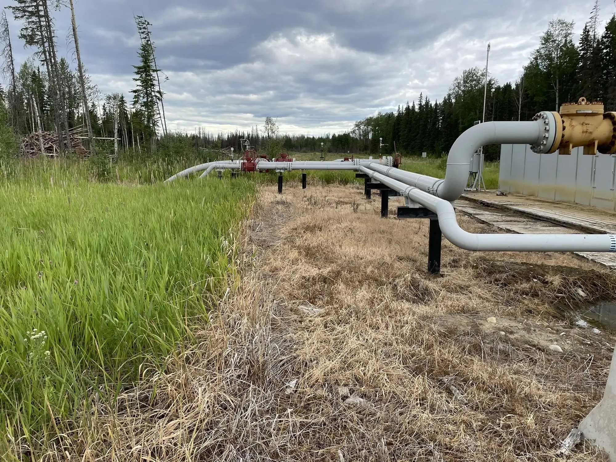 Pipeline infrastructure in boreal forest