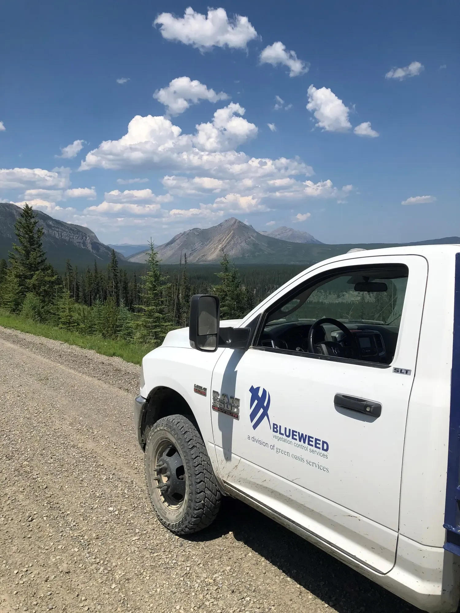 Blueweed truck with Rocky Mountain backdrop
