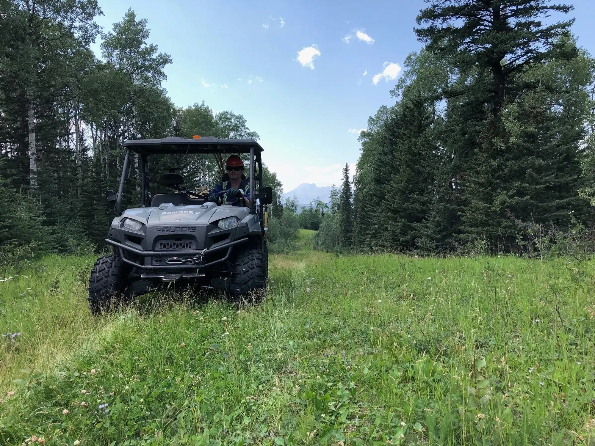 UTV performing vegetation control in forest clearing