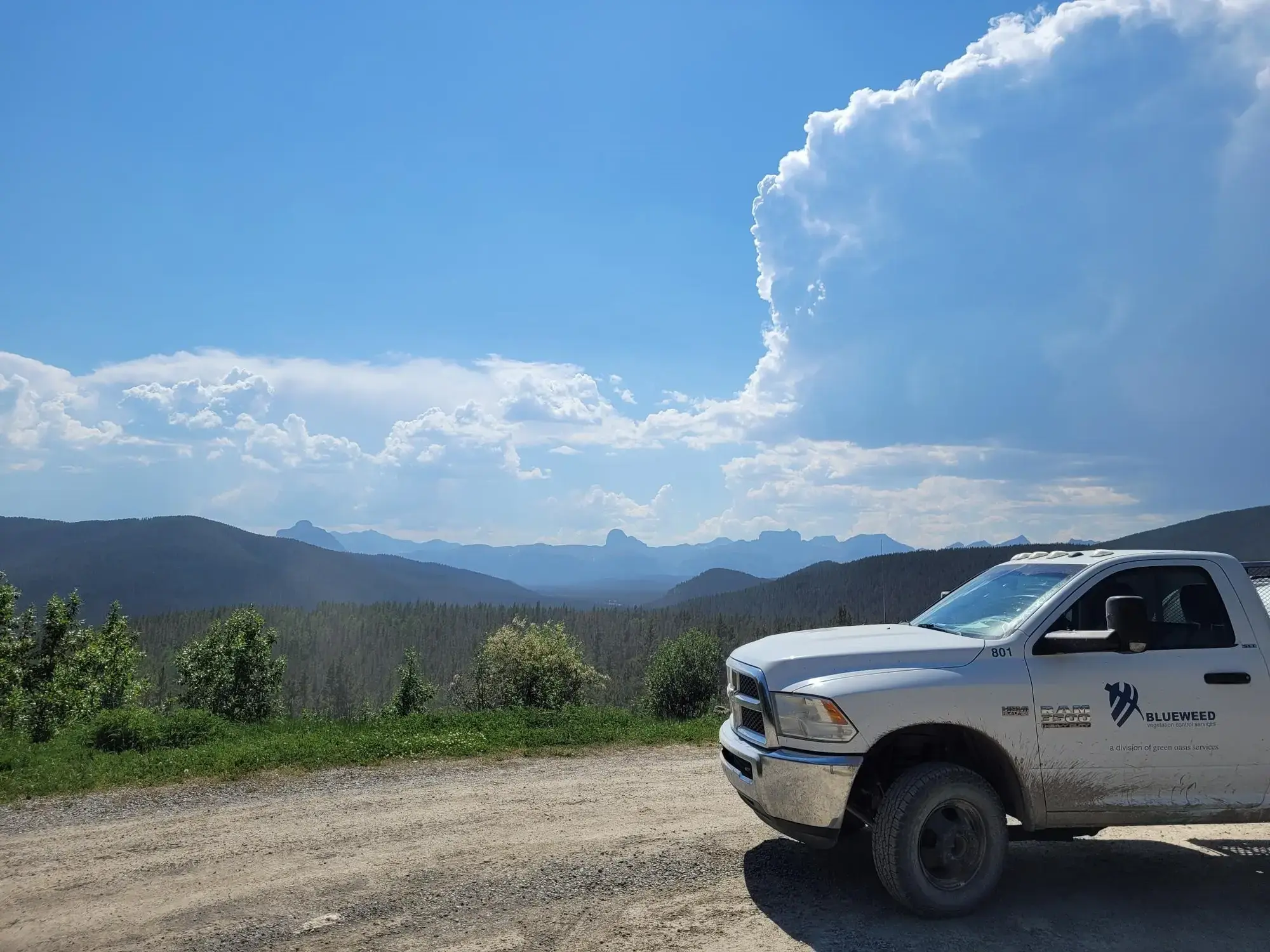 Blueweed worker at facility on Canada Day